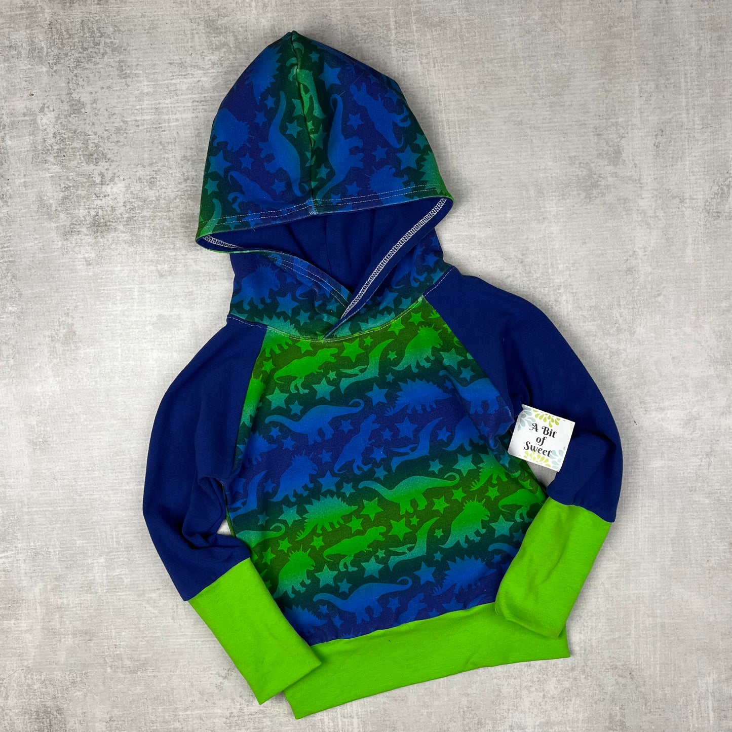 Blue Ombre Dino Grow with Me Hoodie
