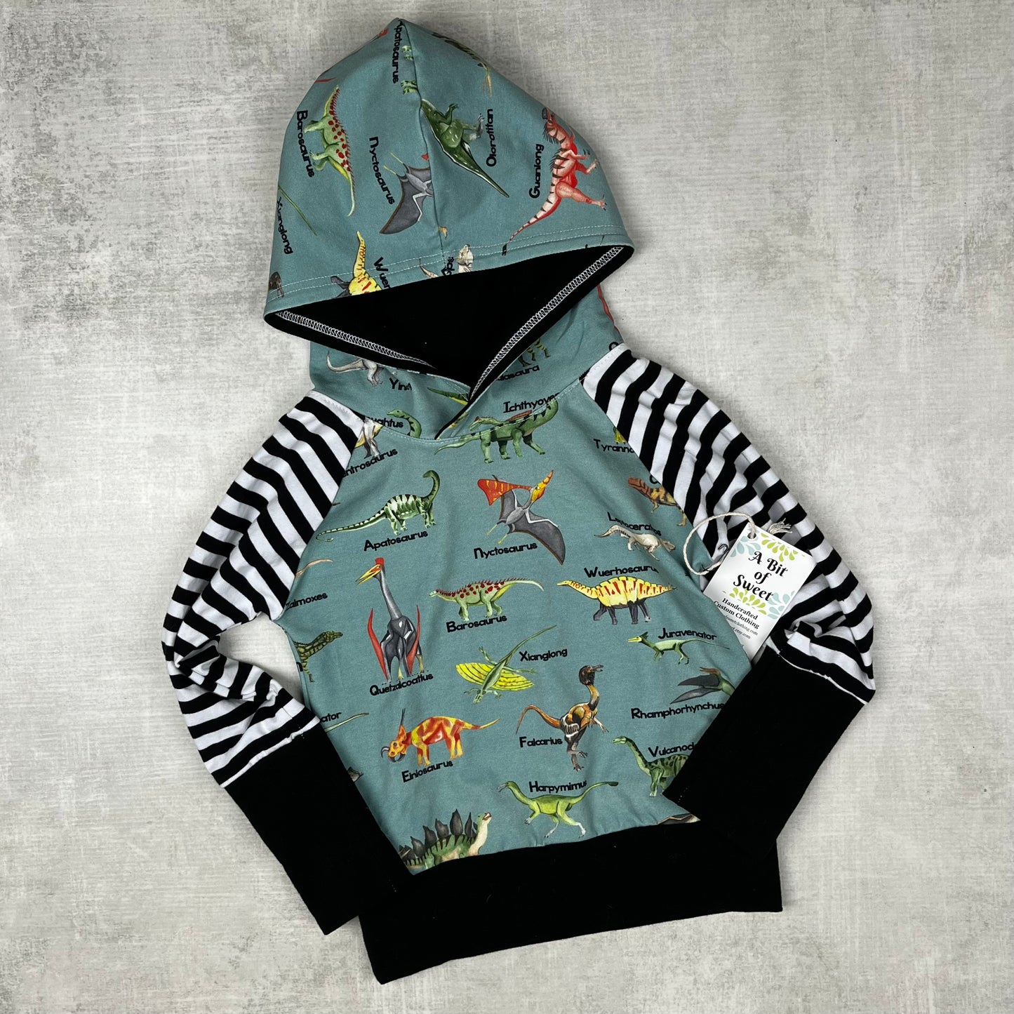 ABC Dinos Grow with Me Hoodie – A Bit of Sweet - Main Image