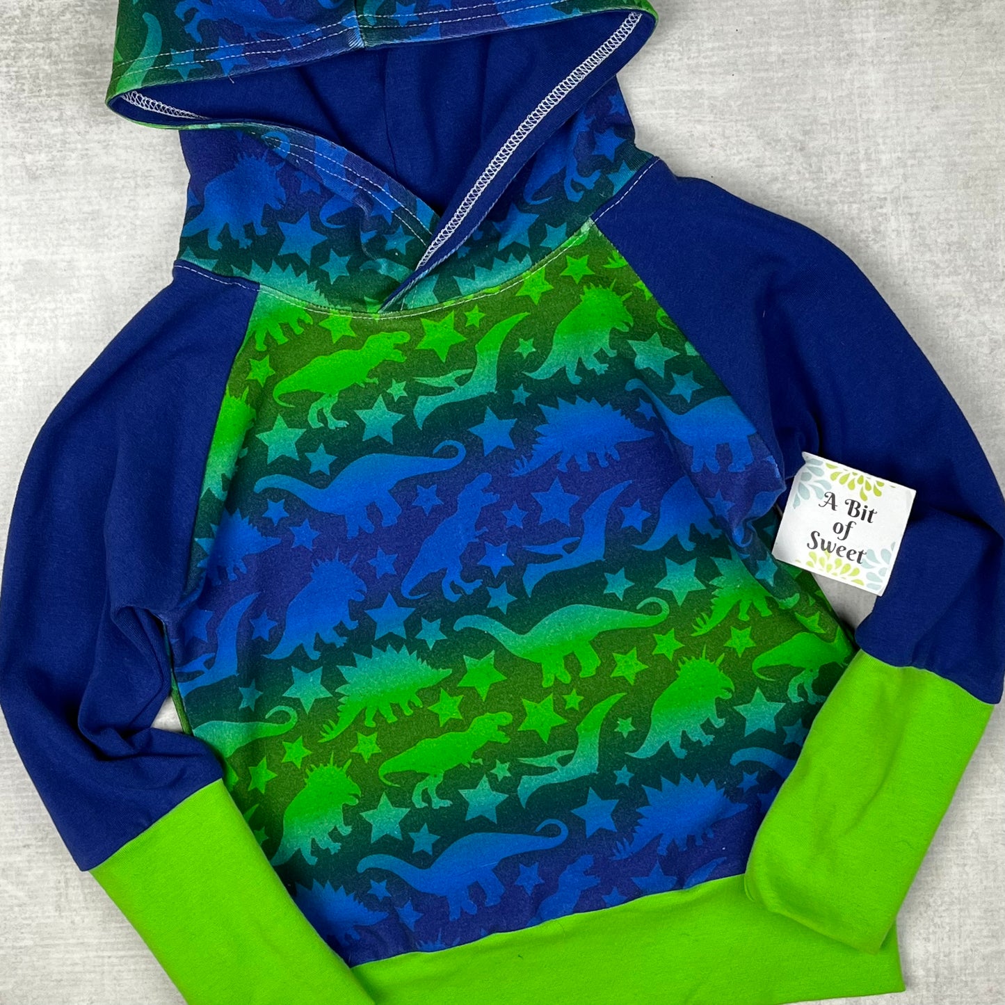 Blue Ombre Dino Grow with Me Hoodie